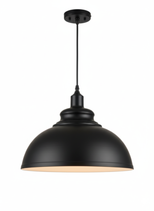 Matte Black Dome Pendant Light